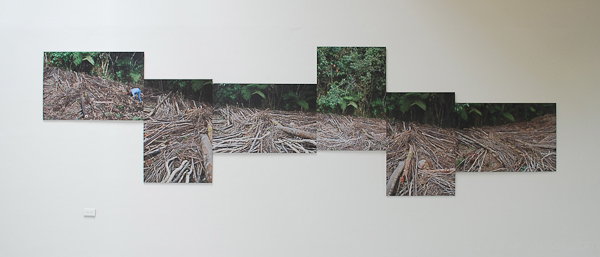 2009 Intervención in situ, madera  6 Fotografías cada una de 100 x 70 cm.  compo