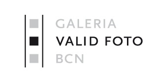 Valid Foto Logo