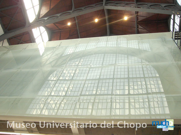 Museo Universitario del Chopo - MUCH