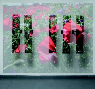 Muestra de Arte Joven 2007