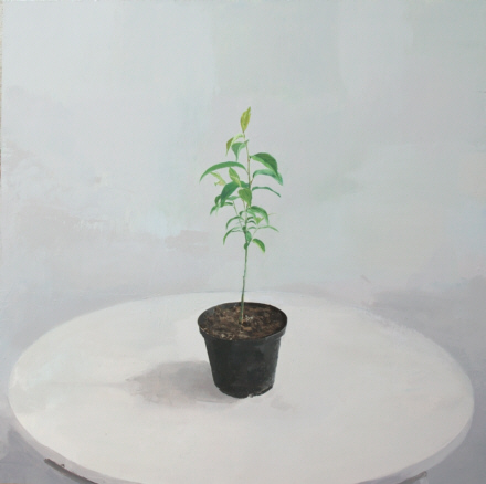 Alberto Romero Gil / Anna García Pérez
