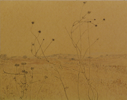 Cuatro paredes: Julián Valle. Viaje de invierno