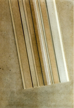 Preceptes consolidats