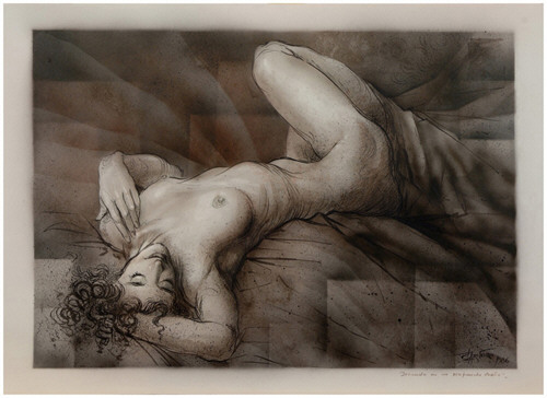 El desnudo: dibujos de la colección