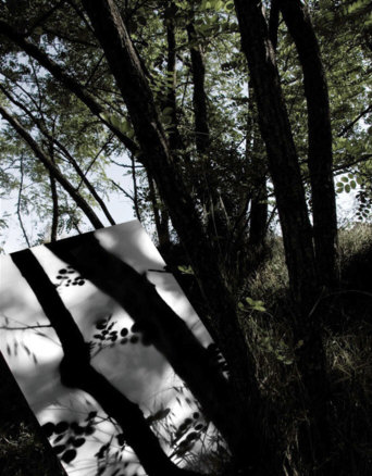 L''ombra del paisatge. El jardí d''humus