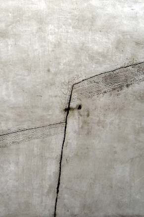 La imperfecció del meu jardí