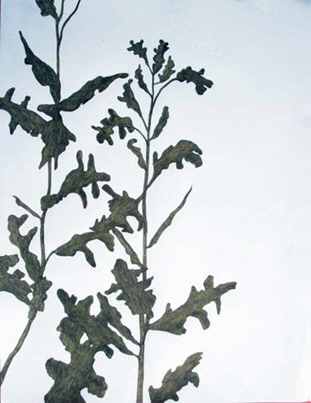 A l`encre de la plume