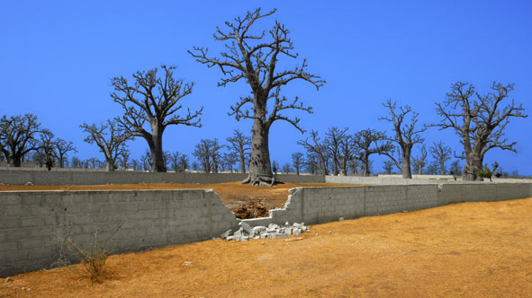 El árbol, poética en el Jardín