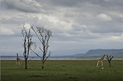 Kenia y Zanzíbar