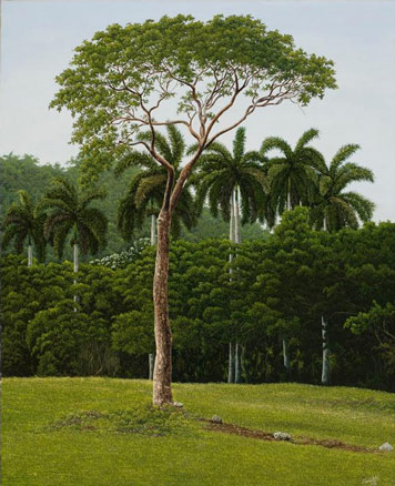 Puro paisaje, Cuba