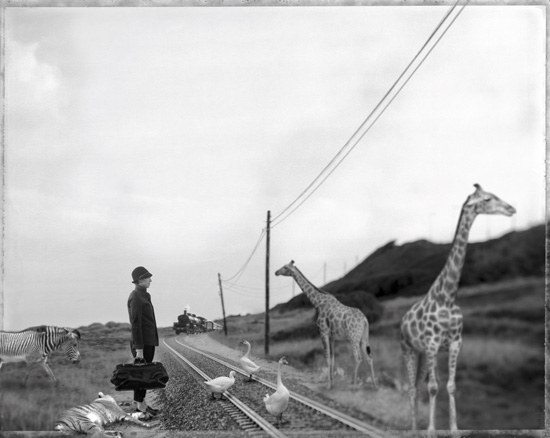 26º concurso fotográfico Caminos de Hierro