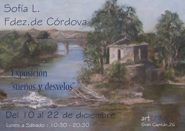 Sueños y desvelos