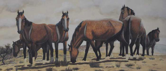 Caballos