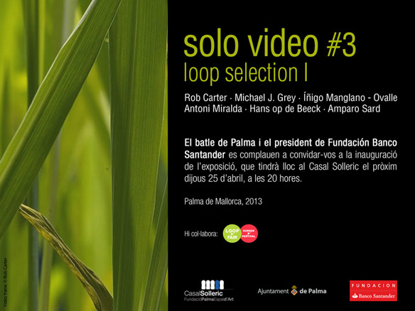 Solo video #3. Loop selection I