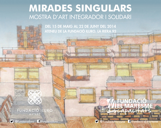 Mirades singulars