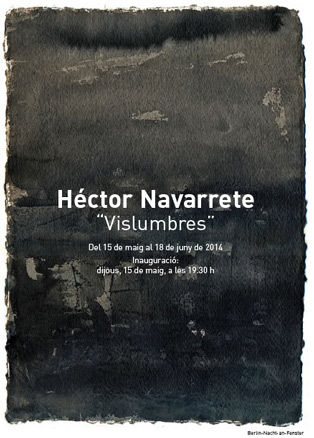 Héctor Navarrete