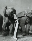 Richard Avedon - Dovima y los elefantes - 1955