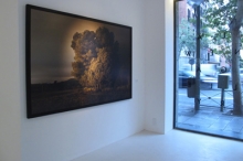 Vista de laNEW gallery, una de las aperturas de 2012