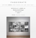 Pantallazo de la web de Faggionato con la exposición de Gonzalo Lebrija