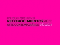Reconocimientos 2013 - Arte Contemporáneo y Premios MAV 2013