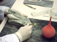 Restauración de fósiles y huesos
