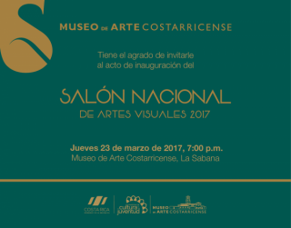Salón Nacional de Artes Visuales 2017