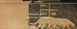 Middle finger pedestrian