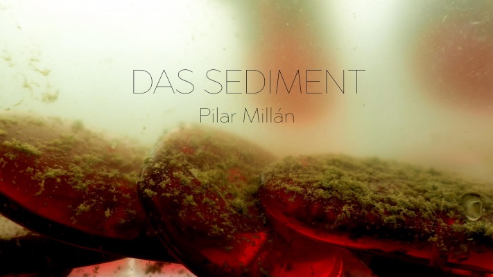 Berliner Dialoge. Das Sediment (2025)