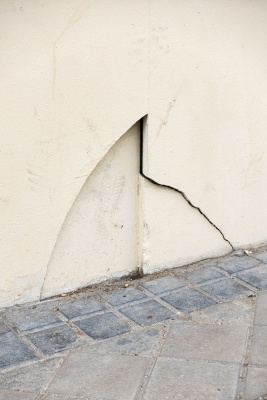 Fotografía #1 de la serie matèria vibrante. Impresión de tinta sobre papel de algodón, 2024 © Catarina Botelho — Imagen cortesía de PHotoESPAÑA