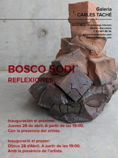Bosco Sodi. Reflexiones