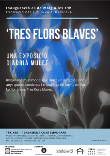 Adrià Mulet. Tres flors blaves