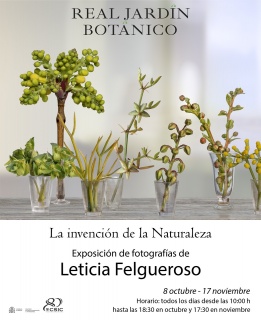 Leticia Felgueroso. La invención de la Naturaleza
