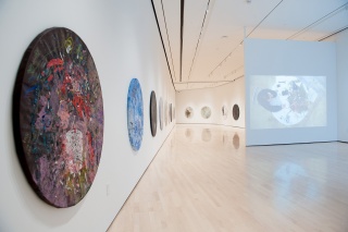 Guillermo Kuitca: Diarios, installation view at the Eli and Edythe Broad Art Museum at Michigan State University, 2013. Photo: Trumpie Photography