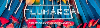 Plumária - A Arte Maior do Indígena Brasileiro