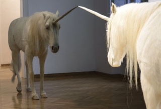 Aleksandar Duravcevic, Another winter, 2007, life size, taxidermy and black mirror