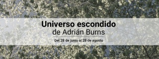 Adrian Burns. Universo escondido