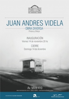 Juan Andrés Videla. Obra diversa