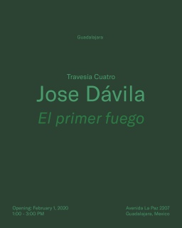 Jose Dávila. El primer fuego