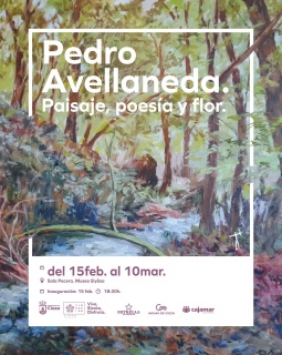 Cartel exposición Pedro Avellaneda