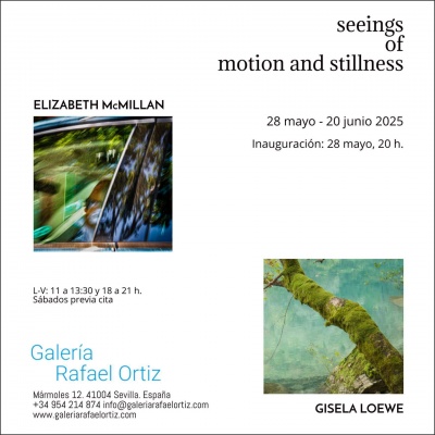 Seeings Of Motion and Stillness
