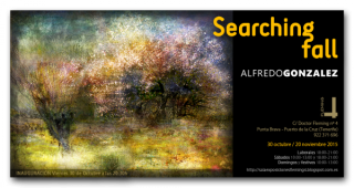 Searching fall. Alfredo Gónzalez