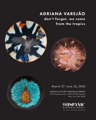 Adriana Varejão: Don’t Forget, We Come From the Tropics