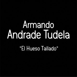 Armando Andrade Tudela