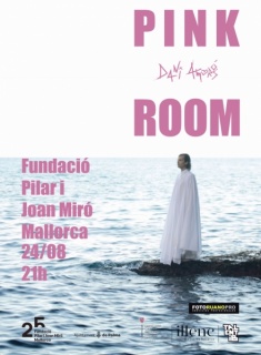 Pink Room. Daniel Amorós