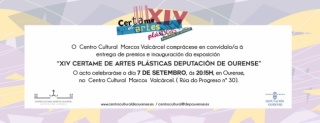 XIV Certame de Artes Plásticas Deputación de Ourense