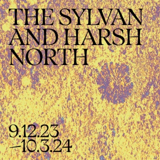 Sylvan and Harsh North