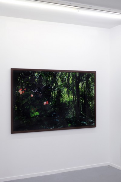 Caio REISEWITZ