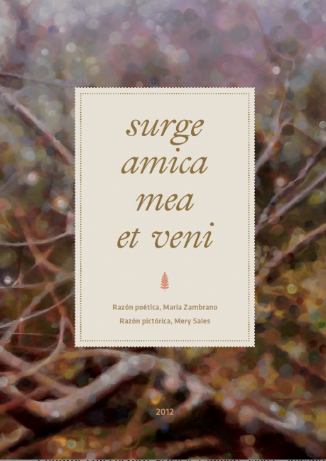 Surge amica mea et veni
