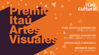 Premio Itau? de Artes Visuales 2015-2016