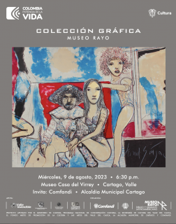 Colección Gráfica - Museo Rayo